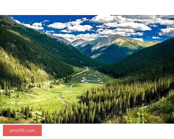 多古受伤或许是转机，逆境中的成长与突破暗示着新的希望